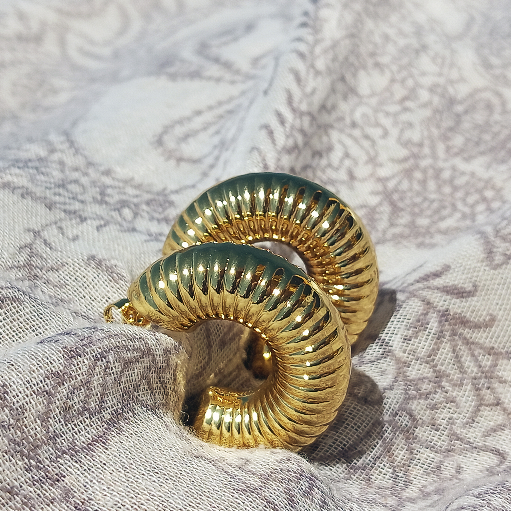 Argollas Caracol